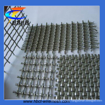 Squre Wire Mesh con gancho, malla de alambre prensado con gancho (CT-64)